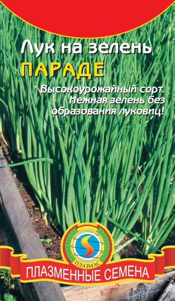 лук параде. лук батун канкан. лук на зелень параде. лук батун параде. лук параде.