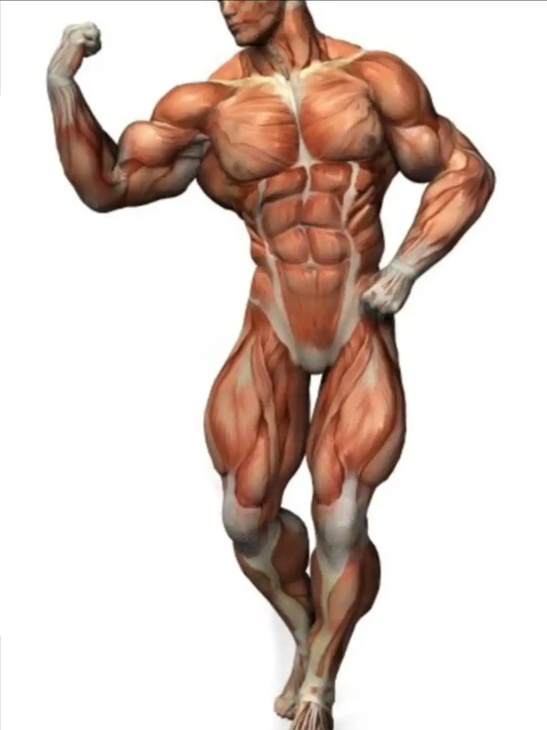 

Steroid vücut geliştirme danabo gücü testostero şeker gücü zirve yarışmacısı oksa şampiyonu atlet en iyi produ