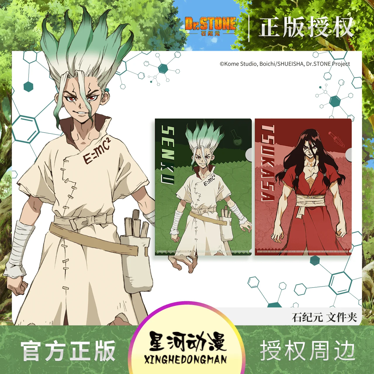 

Anime Dr. Stone Cosplay SENKU TSUKASA Folder A4 File Bag Document Organizer Storage Bag Stationery Gift School Office Learning