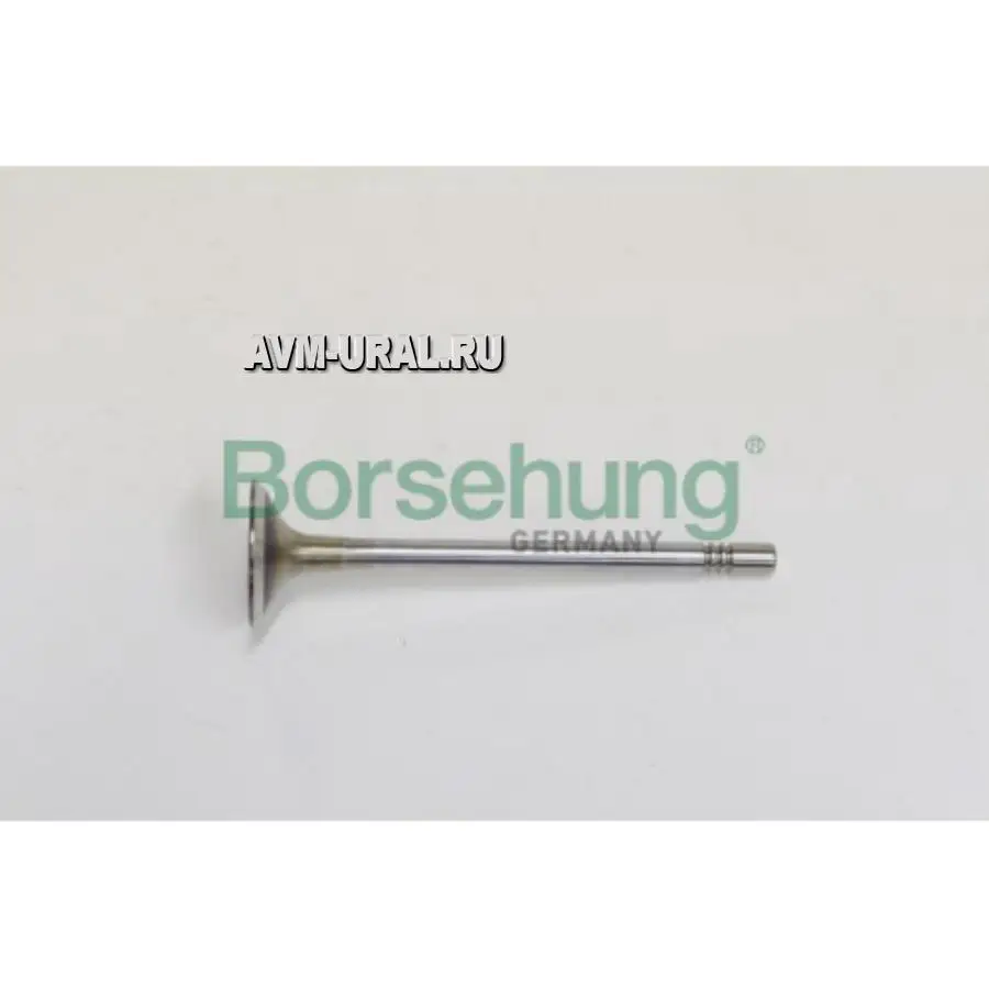 BORSEHUNG Клапан впускной