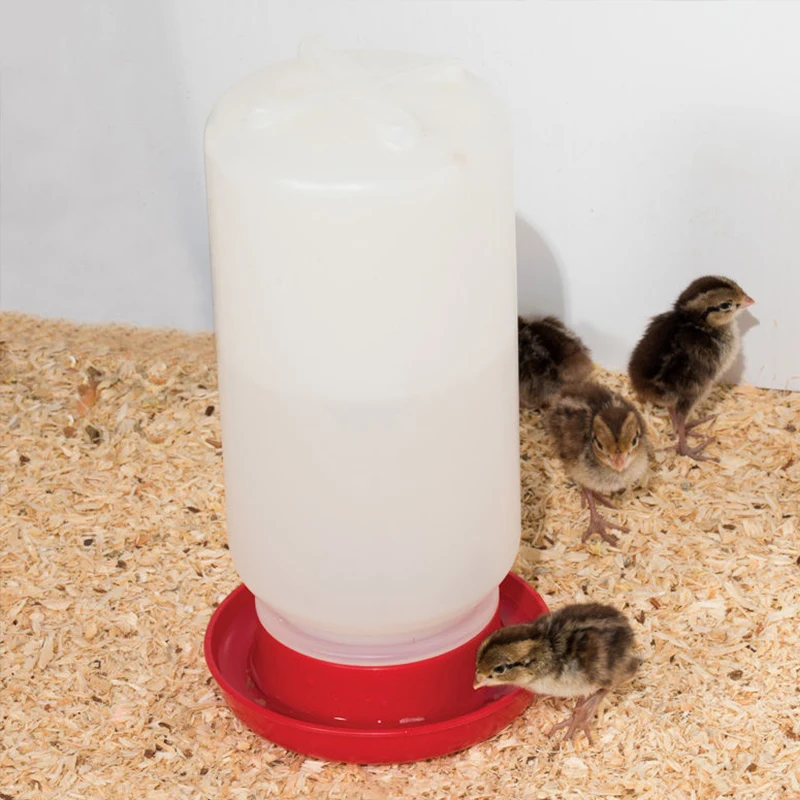 1 Pc Poultry Drinker Bottle Chick Drinking Bucket Chicken Water Feeder Bowls Bird Durable Waterer Chicken Coop Drinking Buckets