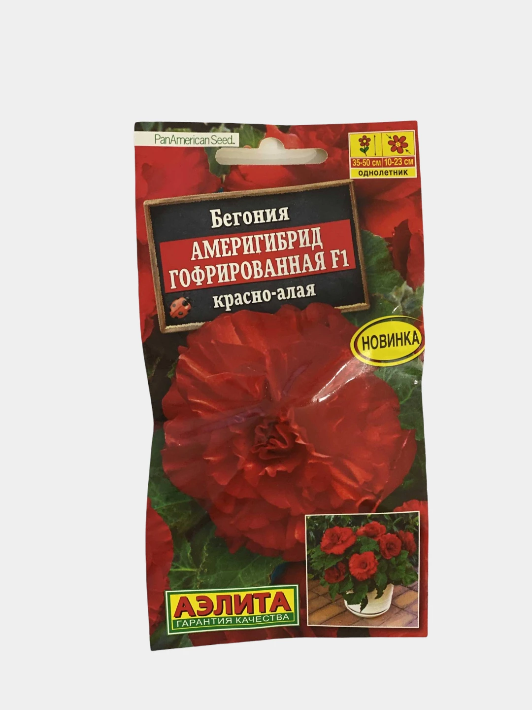 Купить Семена Алый Сахар