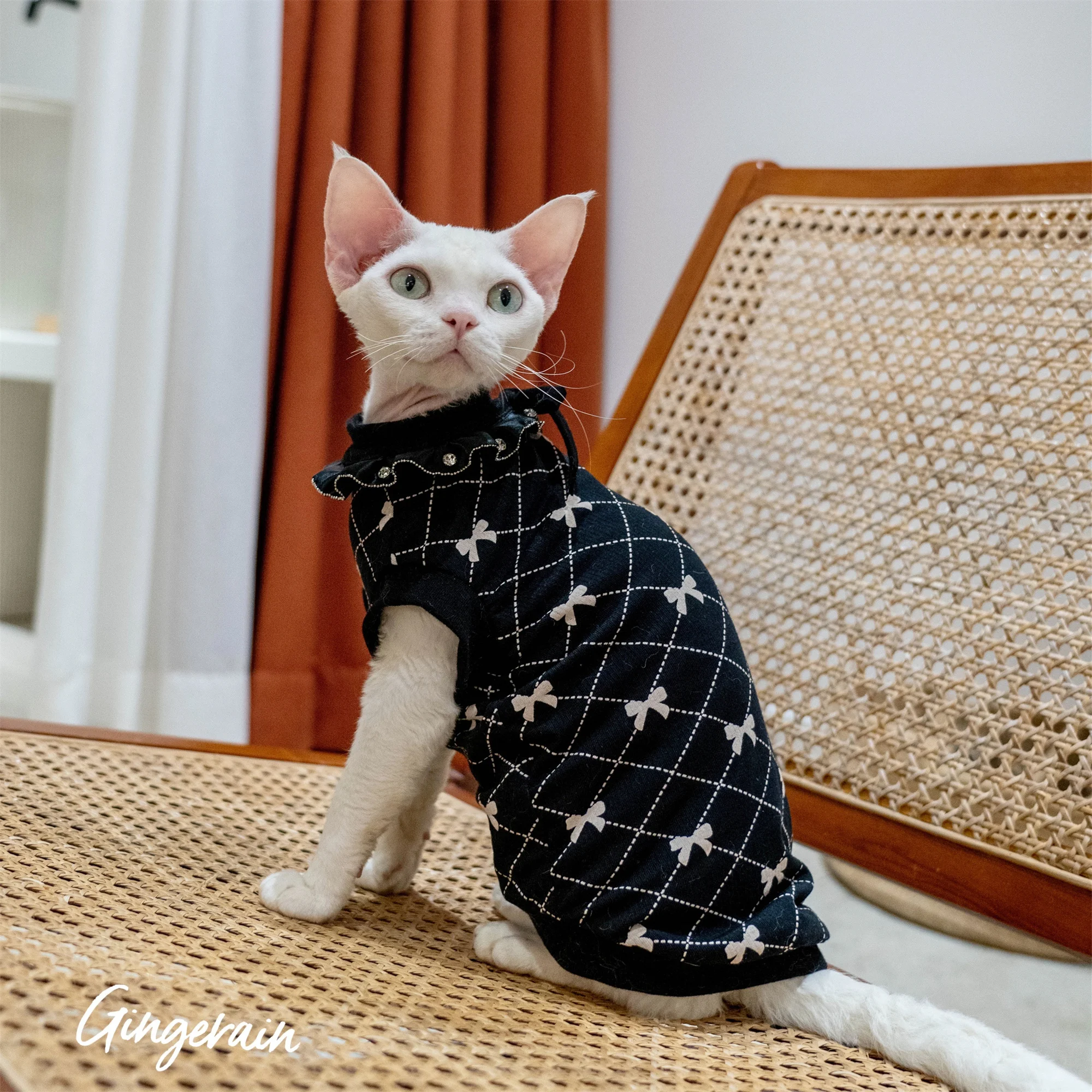 

Одежда для кошки пряничного сфинкса, одежда для кошки, модная кружевная Черная майка с жемчужным воротником, дышащая и Удобная майка