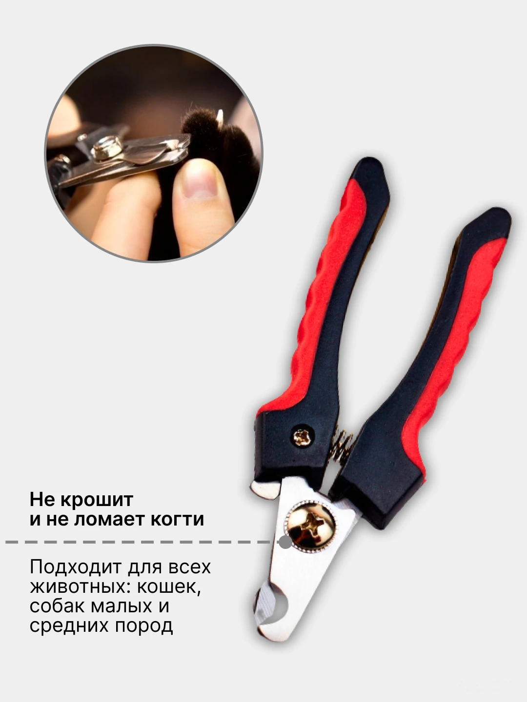 Как правильно стричь когти собаке. Стрижка когтей. Подстригание когтей у собак. Как стричь когти когтерезкой. Правильная стрижка когтей у кошек.