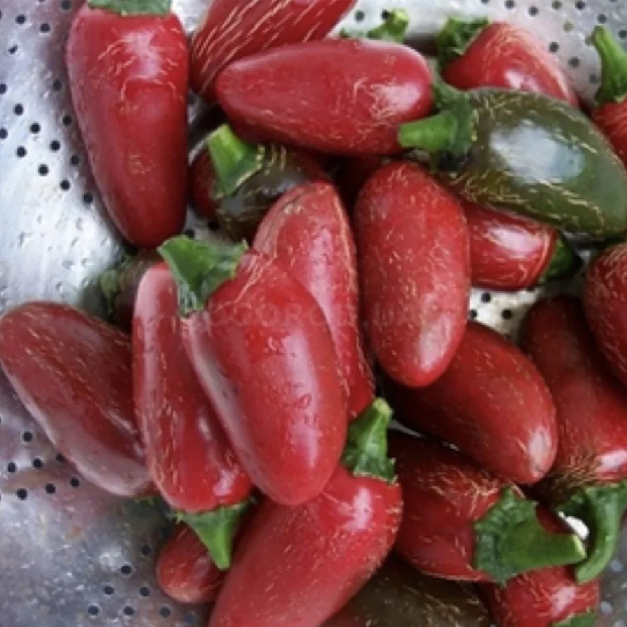 Семена Перца Халапеньо Купить В Воронеже