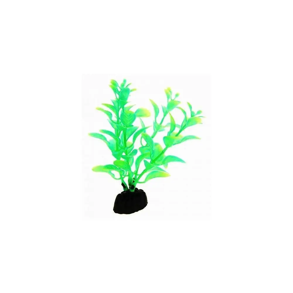 Luminous in the dark plastic plant Barbus людвигия 10 cm |