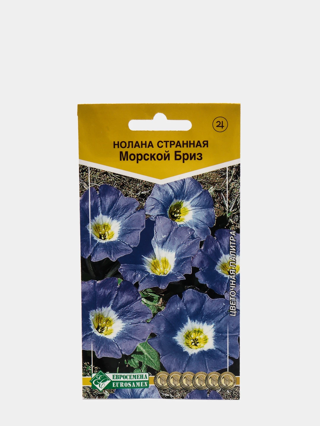 Нолана цветок