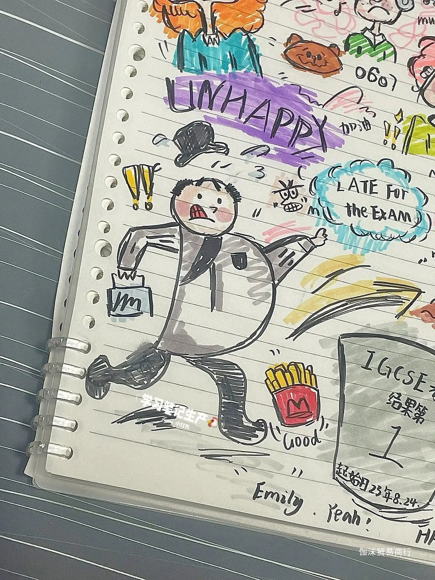 Красивая Мягкая Голова Школьная КаллиграфичесКая Ручка Цветная DS827