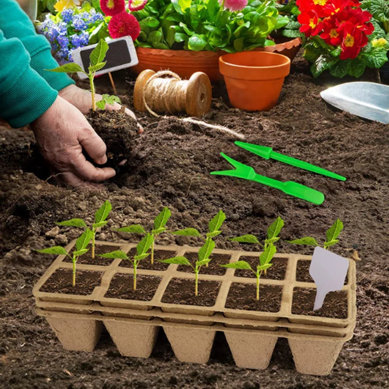 

10 Cell Seedling Germination Nursery Cup Succulent Transplant Growing Tray Base Environmentally Paper pulp Gardening Supplies