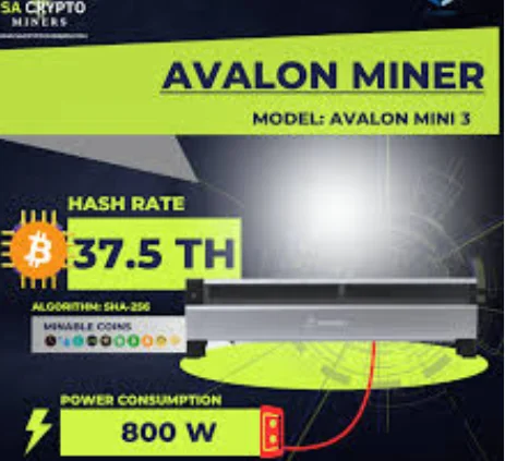 HD Canaan Avalon Mini 3 37.5TH (art.: 3920dbaee5bd7) - 3920dbaee5bd7