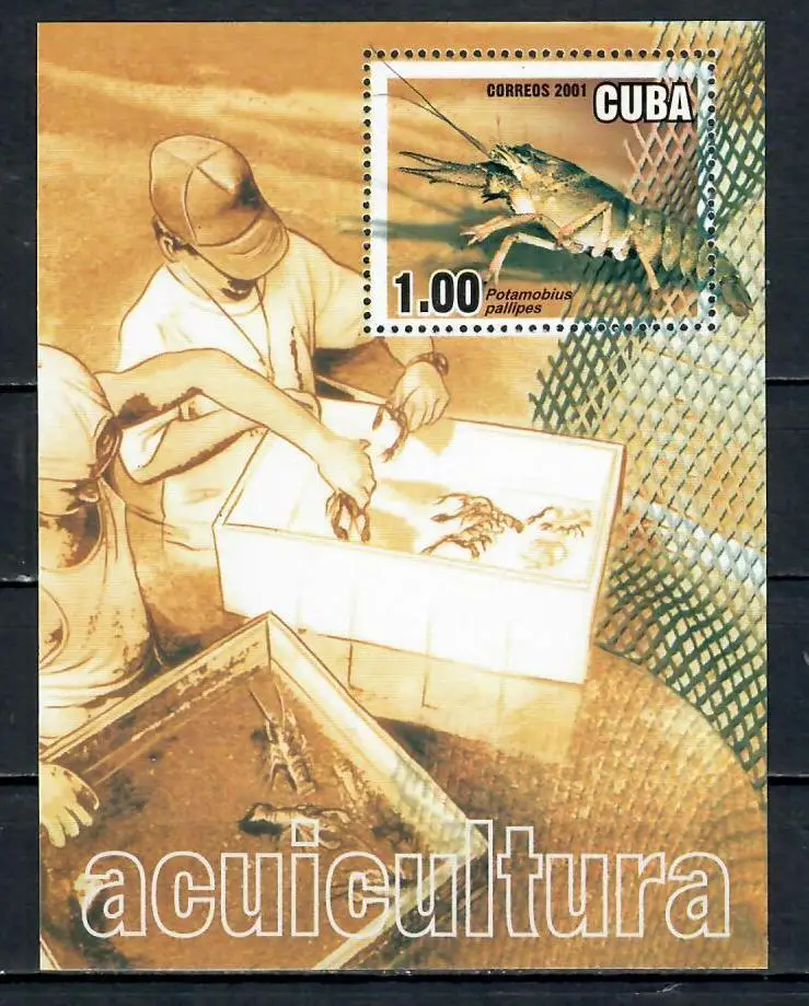 Почтовые марки Куба 2001г. "Морские животные" Морская фауна Раки MNH