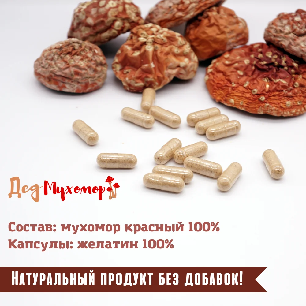 Фото Красный сушеный мухомор в капсулах для микродозинга курс на 30 дн. (высокая активность, сбор Октябрь 2022 г.) №2