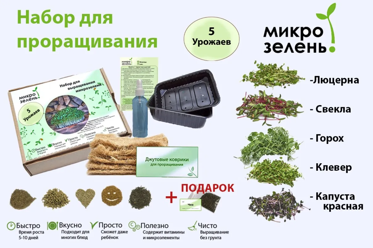 Set for grow микрозелени 5 crops &quotmikrogreens&quot (beetroot cabbage red alfalfa clover peas) микрозелень set seeds |