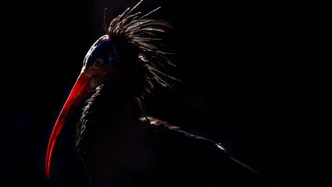 LinxOne картина на экокоже  