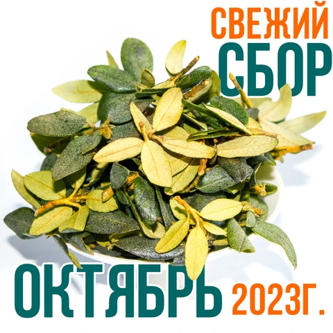 Саган Дайля 100 гр. Свежий сбор - СЕНТЯБРЬ 2023г. Фиточай - изображение