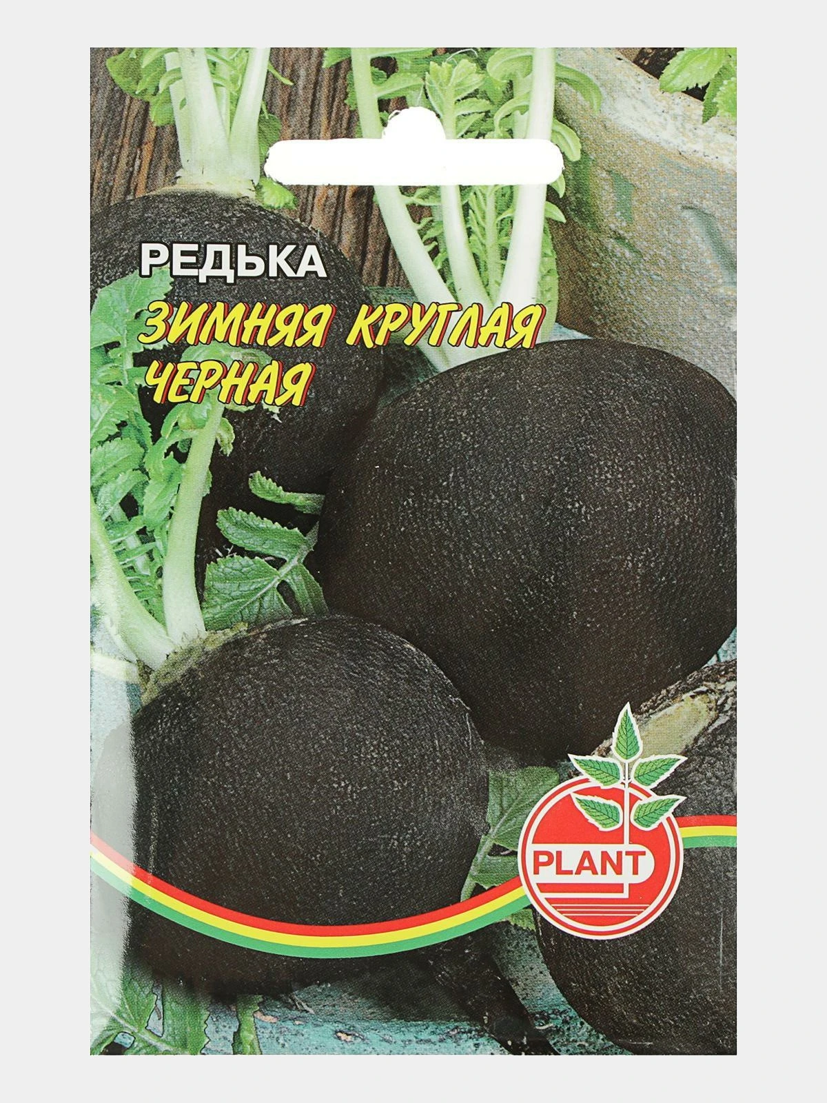 Семена Черной Редьки Купить