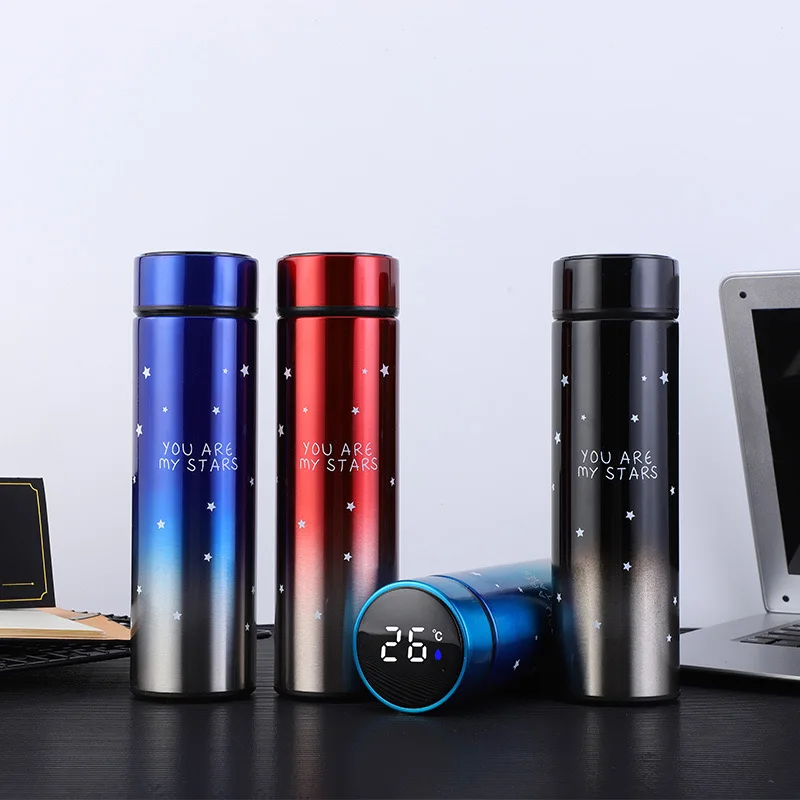 

500 ml Thermal Bottle Water Bottle Digital Display Led Thermal Temperature