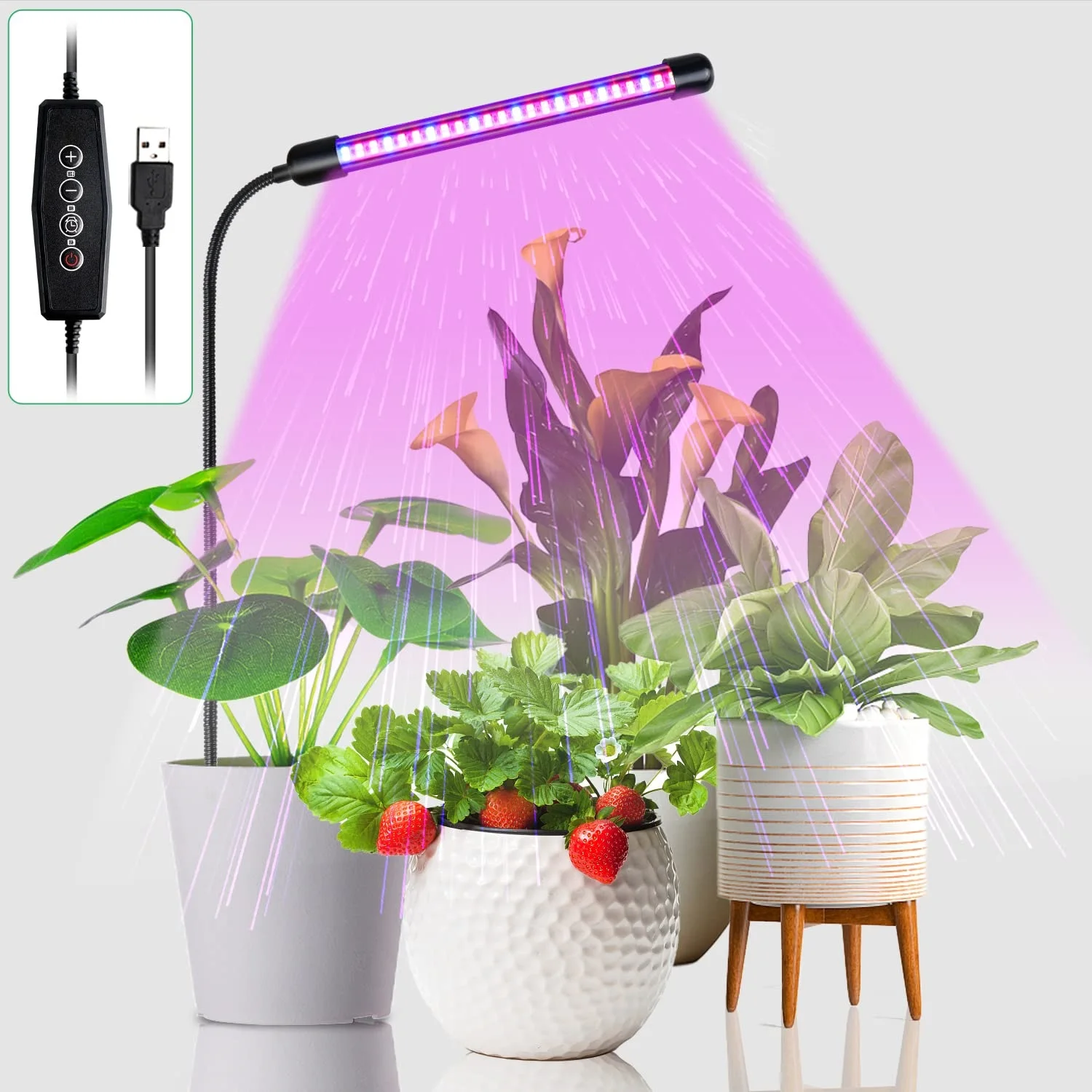 For Indoor Plants, Red Blue Phytolamp Spectrum With Timer Gooseneck Sunlight Plant Lamp For Succulents Cactus