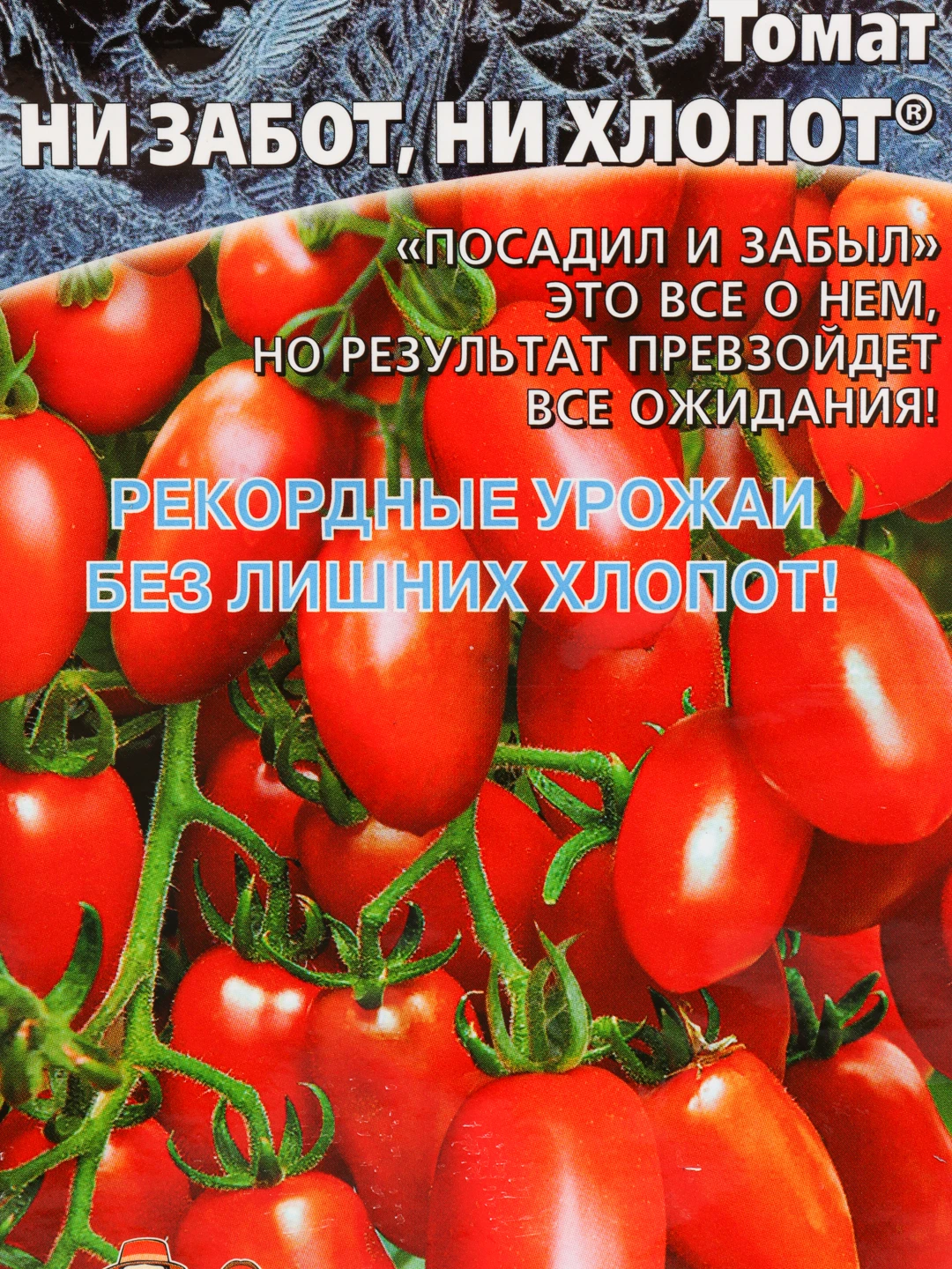 Помидоры ни забот ни хлопот описание. Помидоры ни забот ни хлопот. Томат ни забот ни хлопот уральский дачник. Сорт помидор не забот не хлопот. Помидоры ни забот ни хлопот описание.