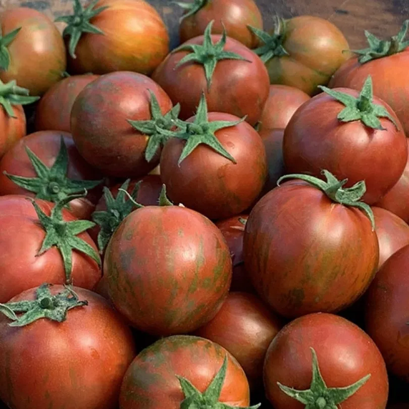 Купить Семена Томата Гном На Авито