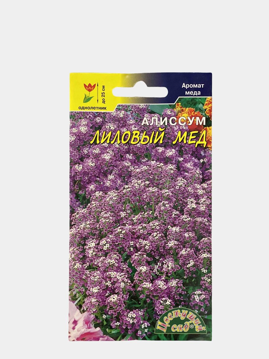 Алиссум Семена Купить Фото