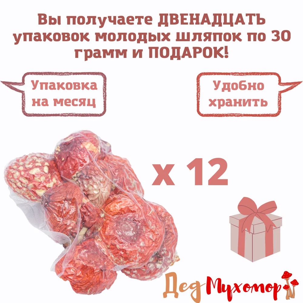 Закрытые молодые шляпки мухомора красного сушёного для микродозинга 360 грамм (свежий урожай Октябрь 2022) (art.: 3920c06f9d5cd) - 3920c06f9d5cd