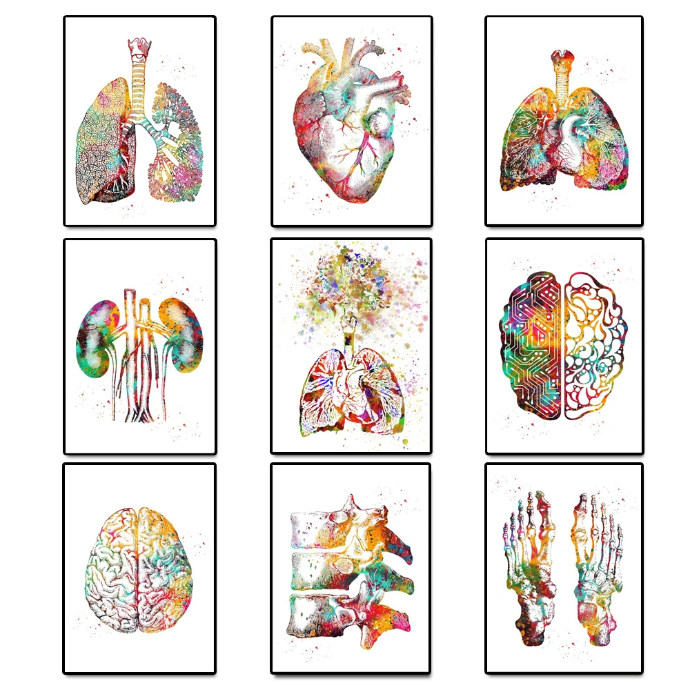 

Canvas Painting Nordic Heart Lung Brain Poster Anatomy Prints Skeleton Medicine Wall Art Picture for Hospital Clinic Room Decor