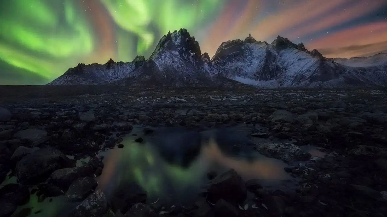 LinxOne постер на экокоже LinxOne постер на экокоже