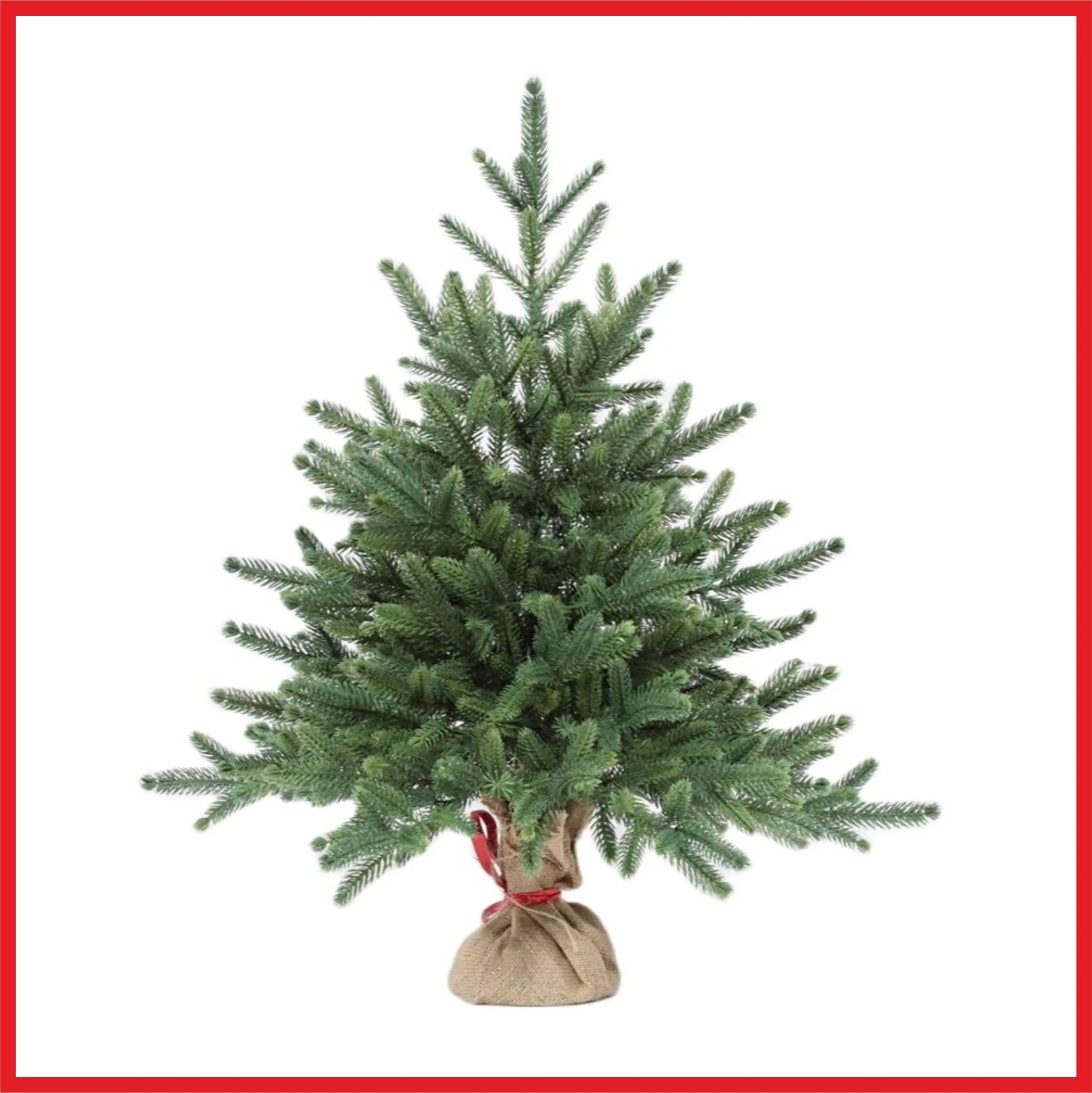 Настольные Ели Купить