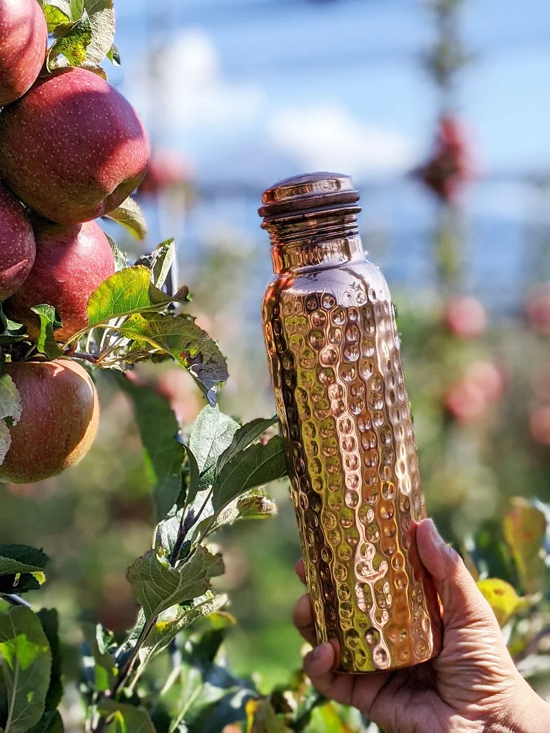 Forrest &amp Love Медная бутылка (Кованая) 900 мл