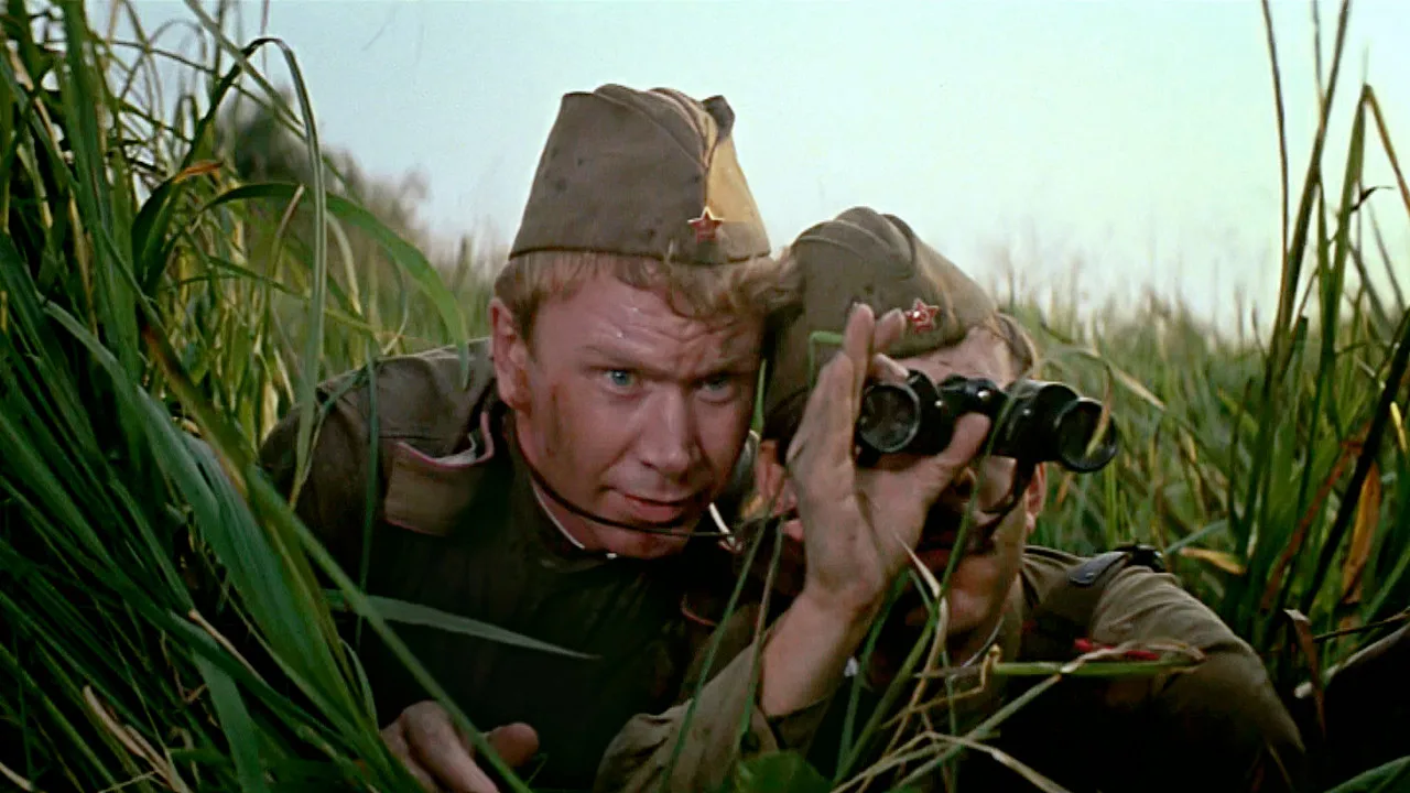 дачная поездка сержанта цыбули фильм 1979 кадры. старшина фильм 1979. сергей иванов дачная поездка сержанта цыбули. дачный цыбули. дачный цыбули.