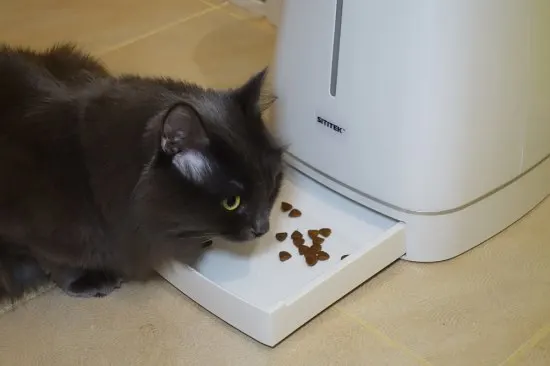 Автоматическая кормушка SITITEK Pets Prо