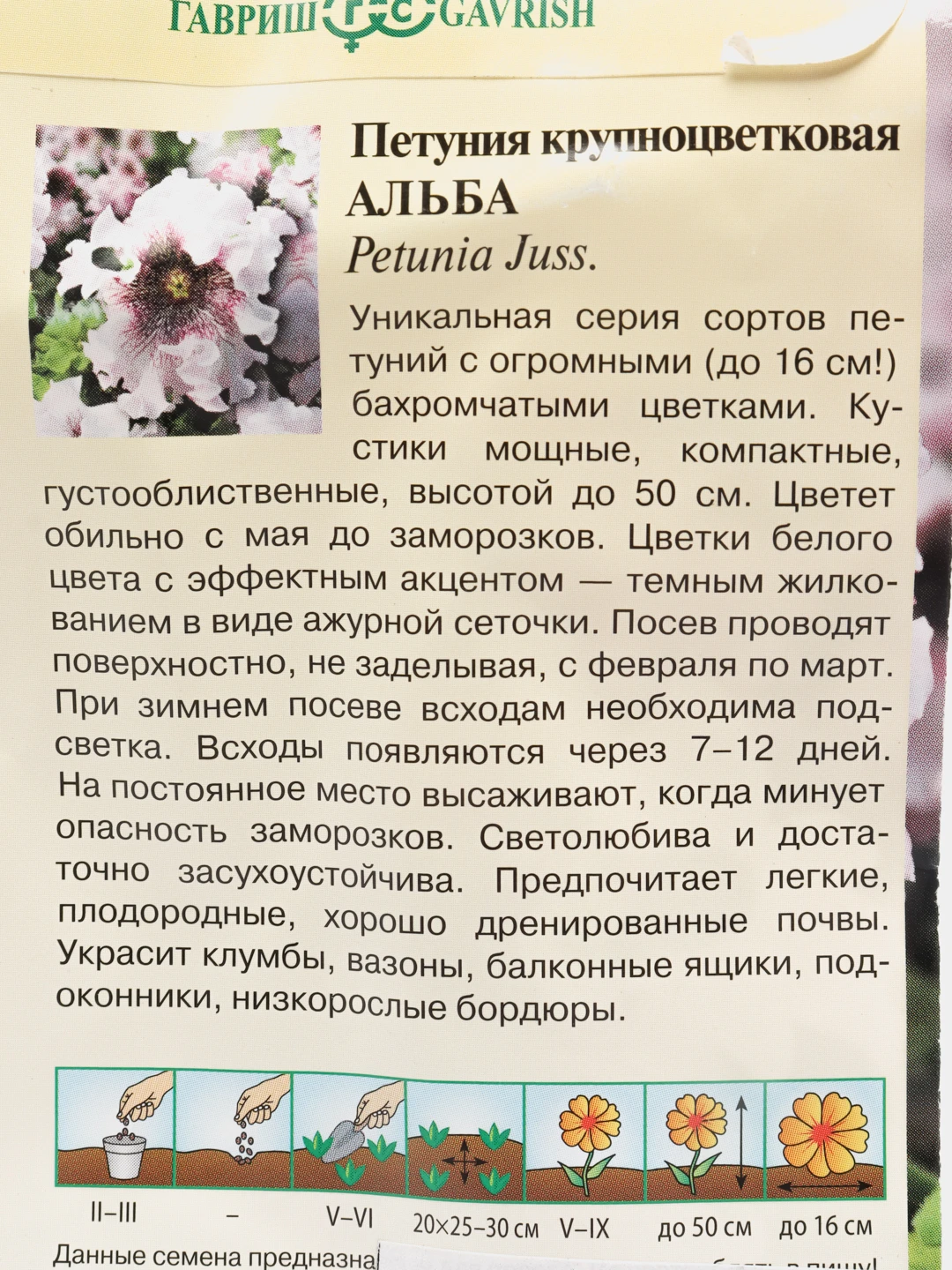 Альба Сорт Купить Семена