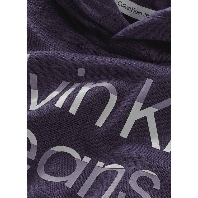 Рисунок 3 - Calvin Klein Фиолетовая толстовка