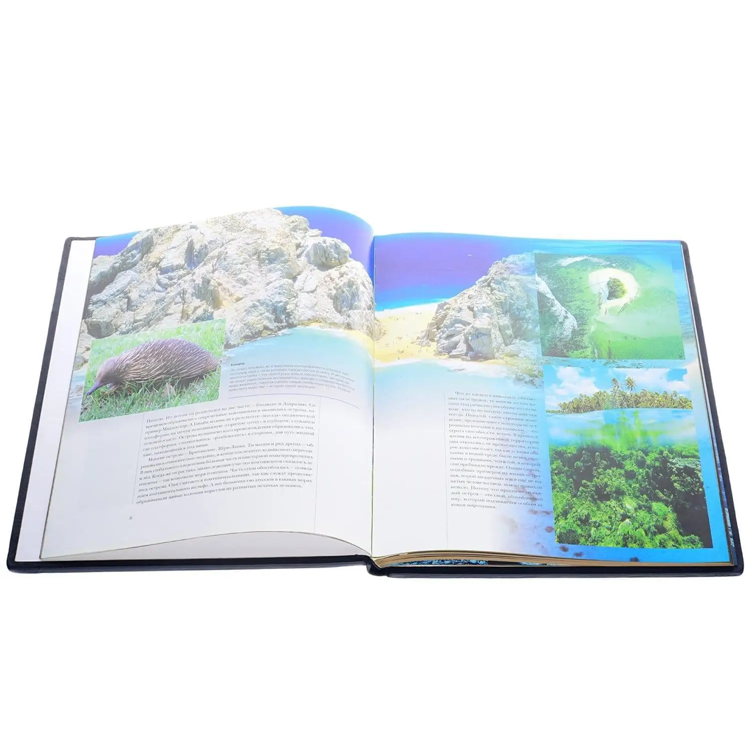 Рисунок 6 - Книга подарочная "Острова мира"