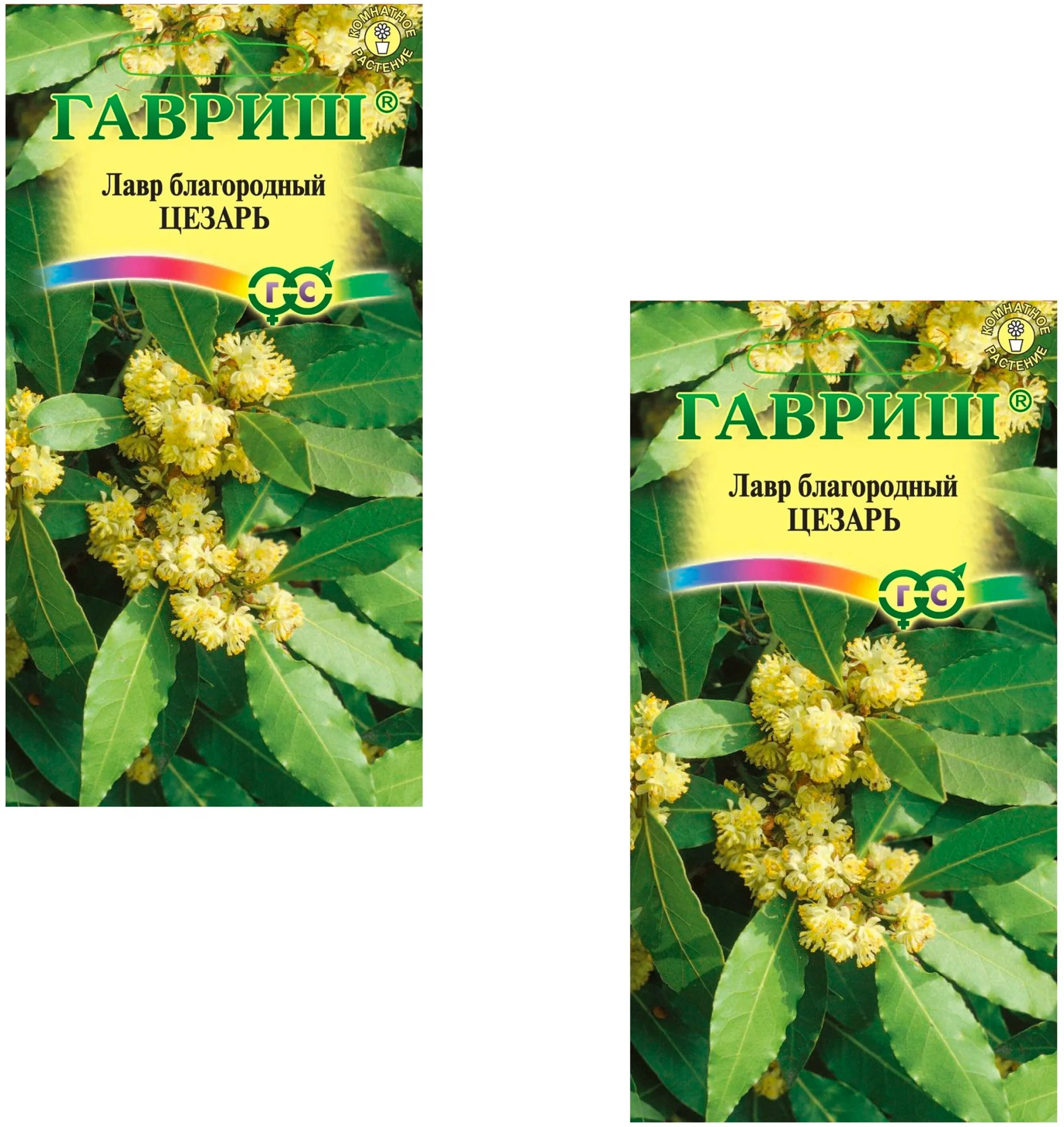 Лавр Растение Купить В Красноярске