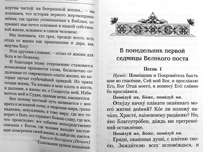 Канон покаяния молитва. Канон покаянный помощник и покровитель Ноты. Канон о покаянии детоубийства книга. Толкование канона андрея критского понедельник читать