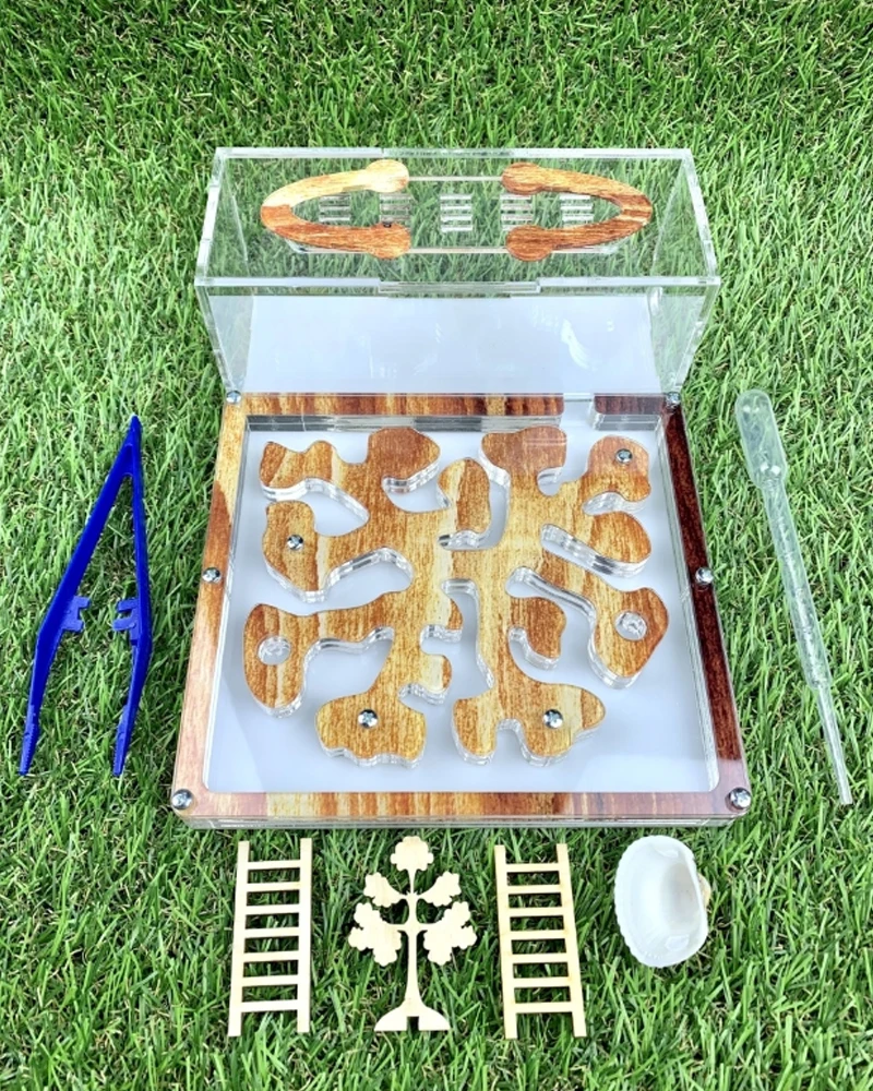 Муравьная ферма Старт/Формикарий/для муравьев. Размер: 21х16х7 см