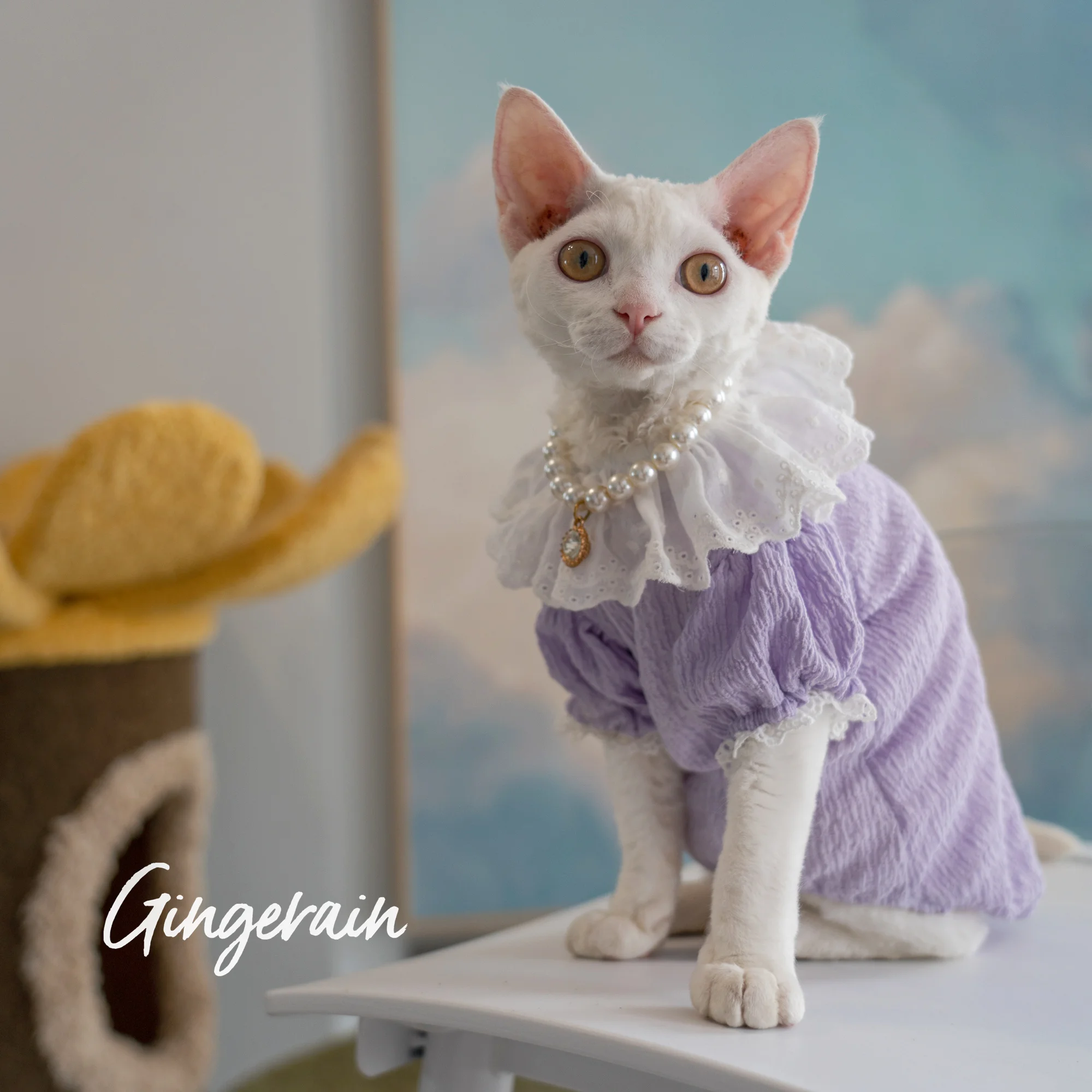 

Gingerain Sphynx Cat Clothes Cat Clothing purple Summer Baby Shirt Puff Sleeve Bow Cotton Shirt breathable and comfortable