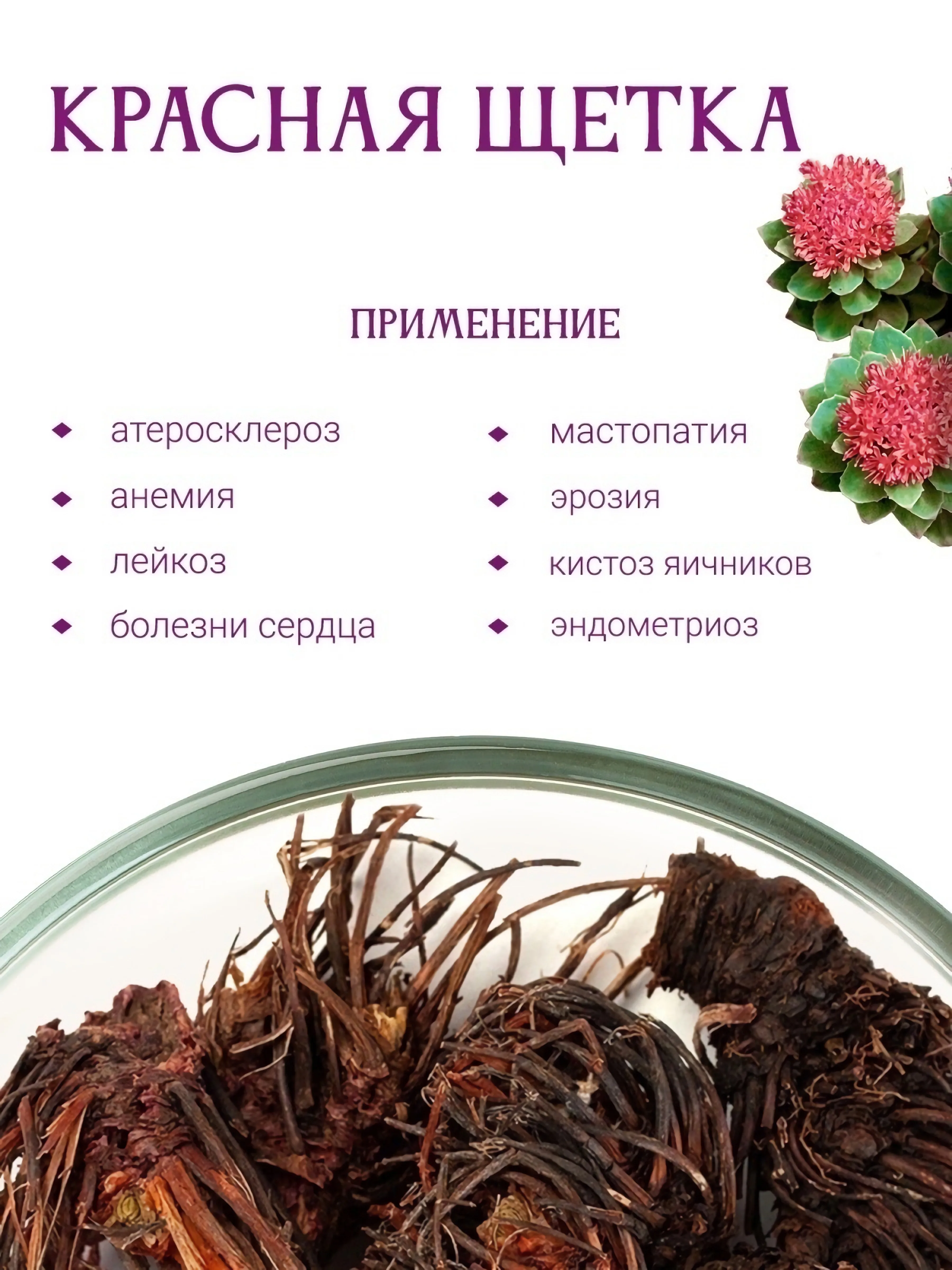 красная щетка для чего. красная щетка фиточай травы горного алтая. красная щетка для чего. красная щетка алтаймаг 30г. красная щетка для чего.