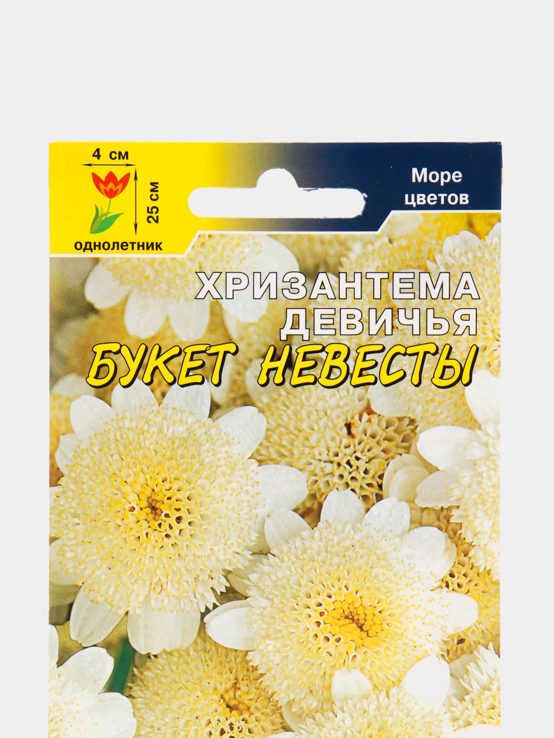 Хризантема Девичья Купить Семена