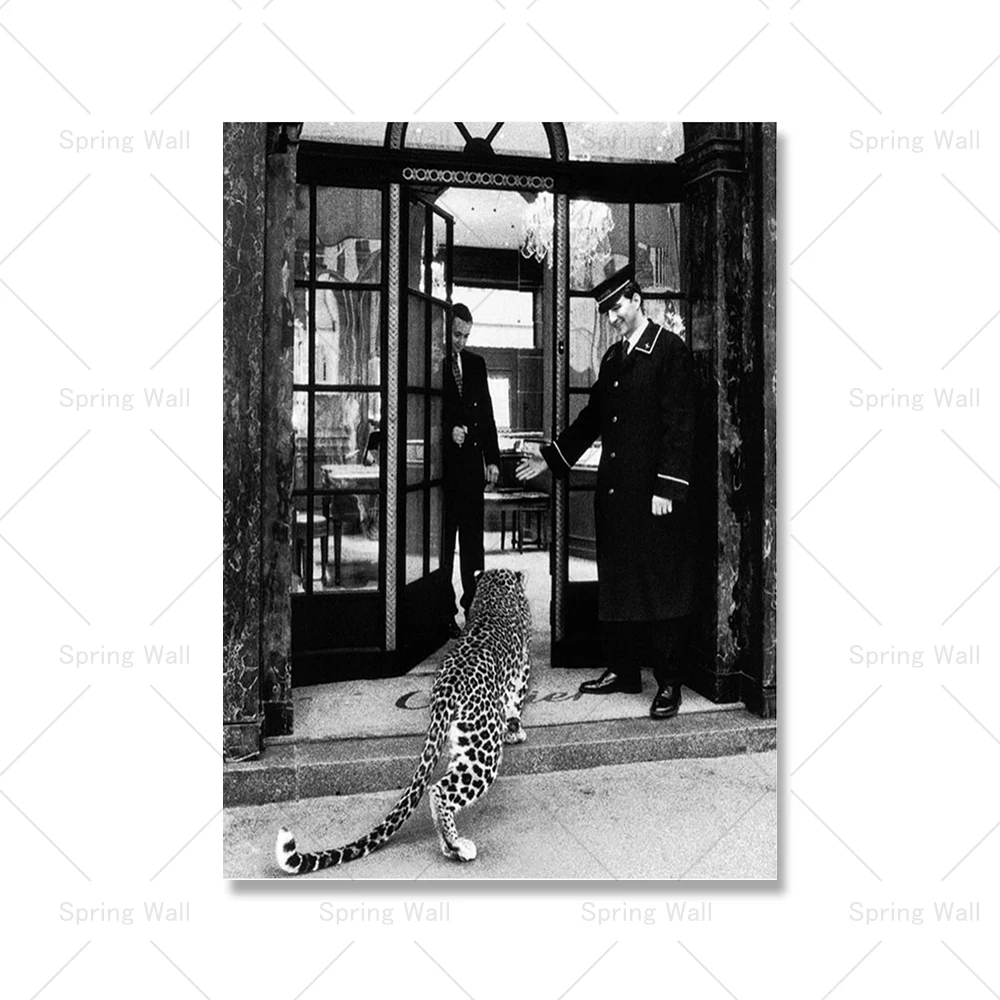 

Леопардовый постер для ювелирных изделий