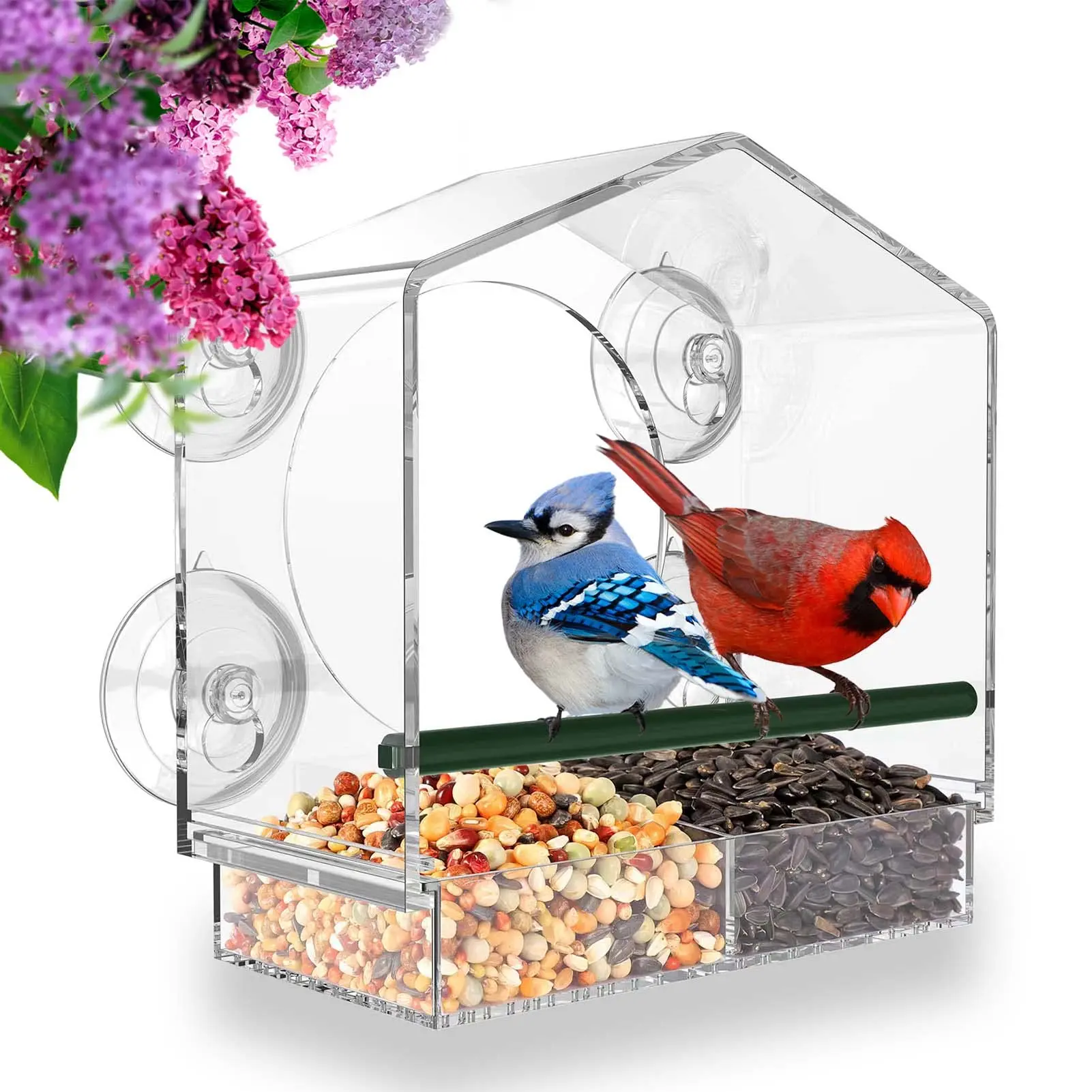 

Clear Acrylic Bird Feeder Window Mount with Strong Suction Cup Seed Tray Outdoor Bird Feeder for Finch Cardinal Bluebird