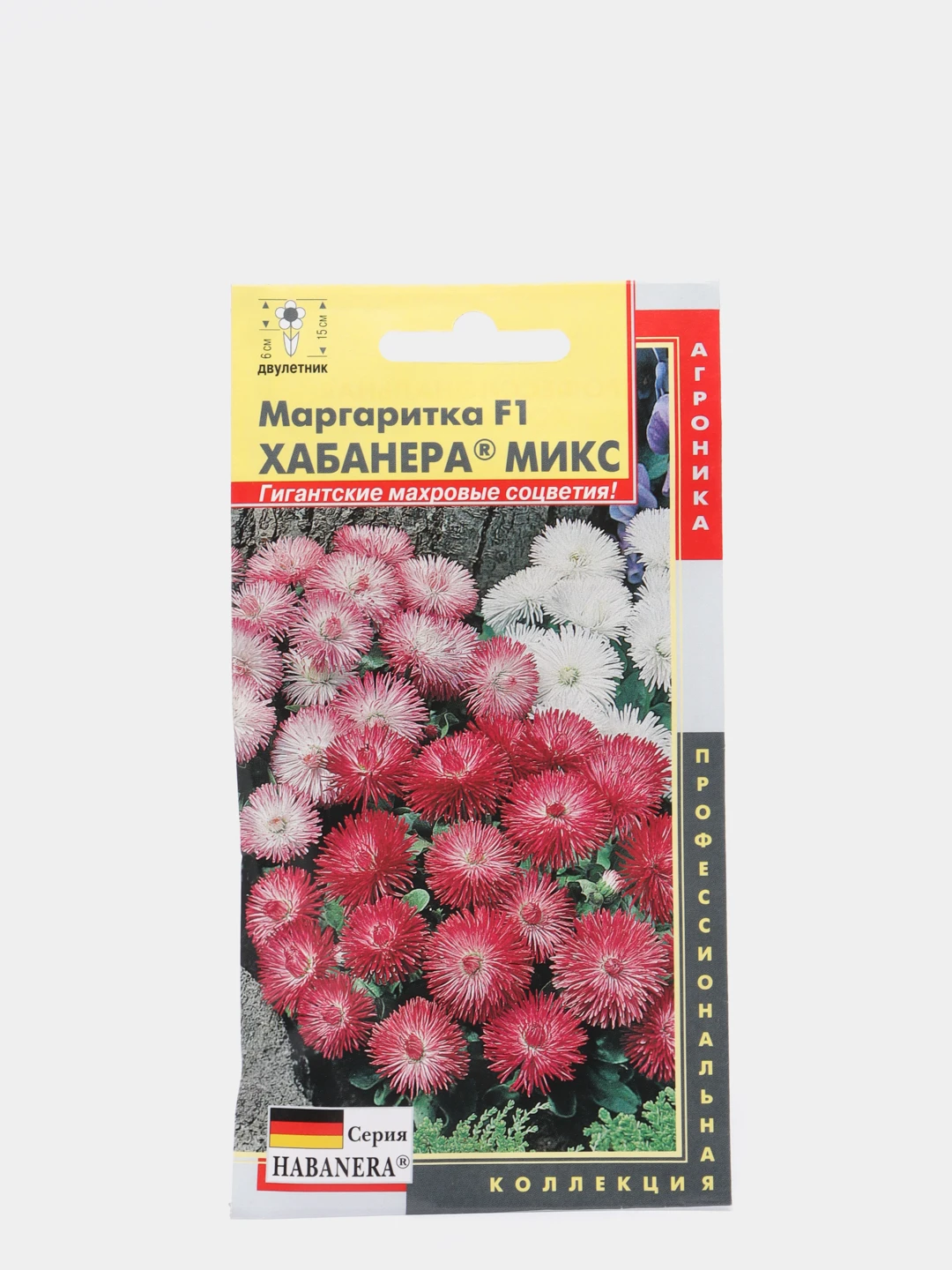 Маргаритки Семена Купить