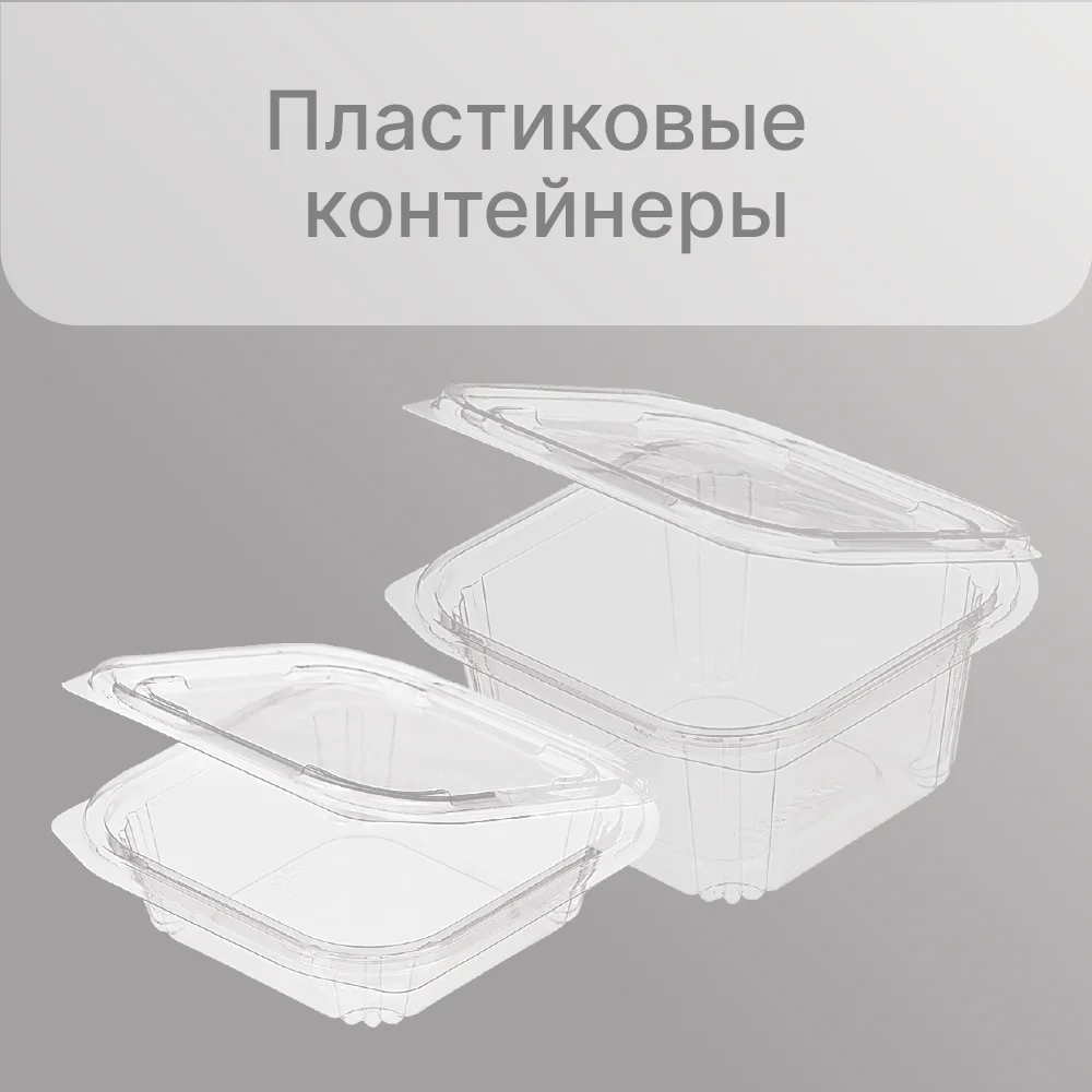 Одноразовые пластиковые контейнеры РКСП для еды на вынос и фаст фуд 20/200 шт |