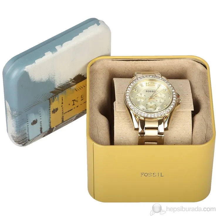 Рисунок 4 - Fossil ES3203 женские наручные