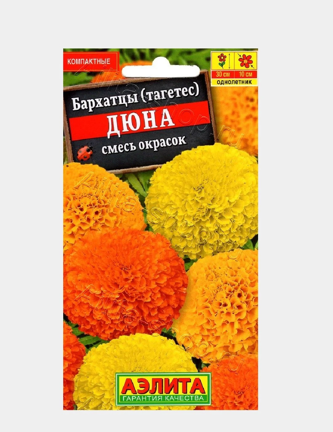 Бархатцы Низкорослые Сорта Купить Семена