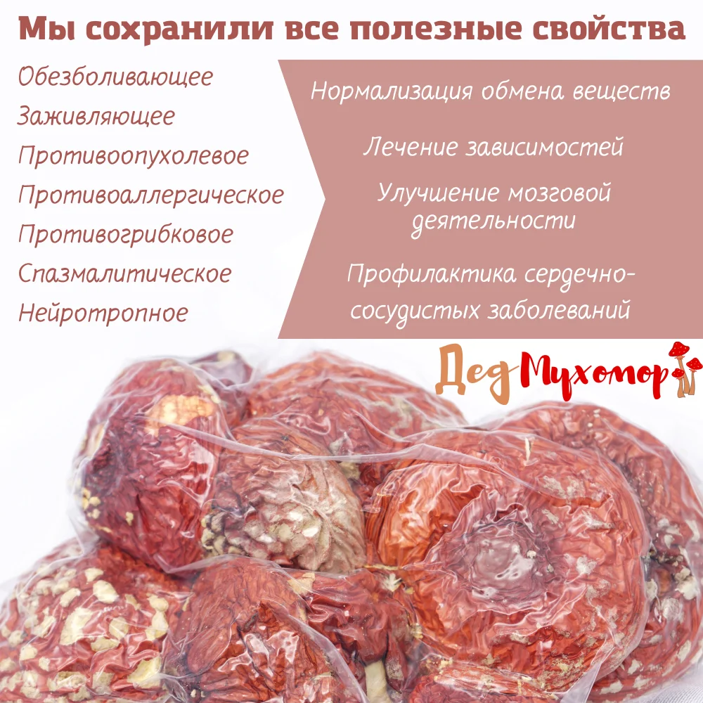 Фото Закрытые молодые шляпки мухомора красного сушёного для микродозинга 360 грамм (свежий урожай Октябрь 2022) №4