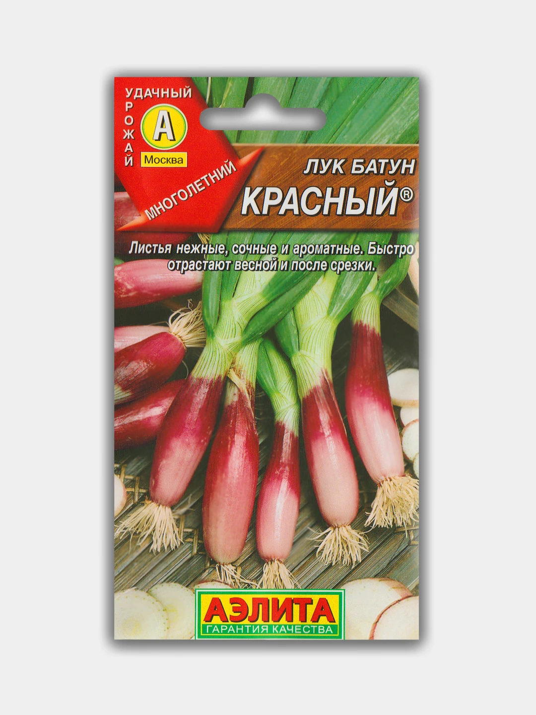Купить Семена Красного Лука