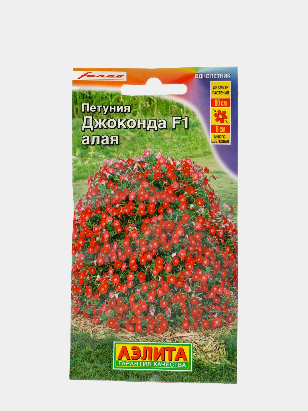 Петуния джоконда мини алая f1. Петуния джоконда мини алая f1. Петуния джоконда объем кашпо. Петуния джоконда f1 синяя. Петуния джоконда объем кашпо.
